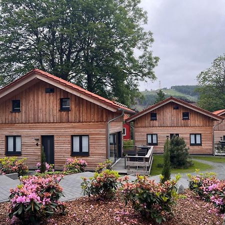 Villa Cecilienpark Oberharz Goslar Exterior foto