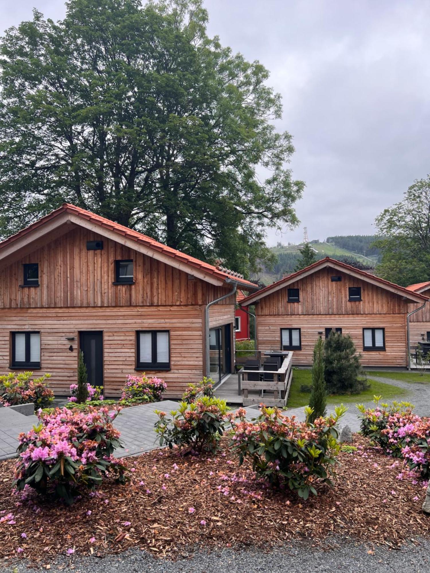 Villa Cecilienpark Oberharz Goslar Exterior foto
