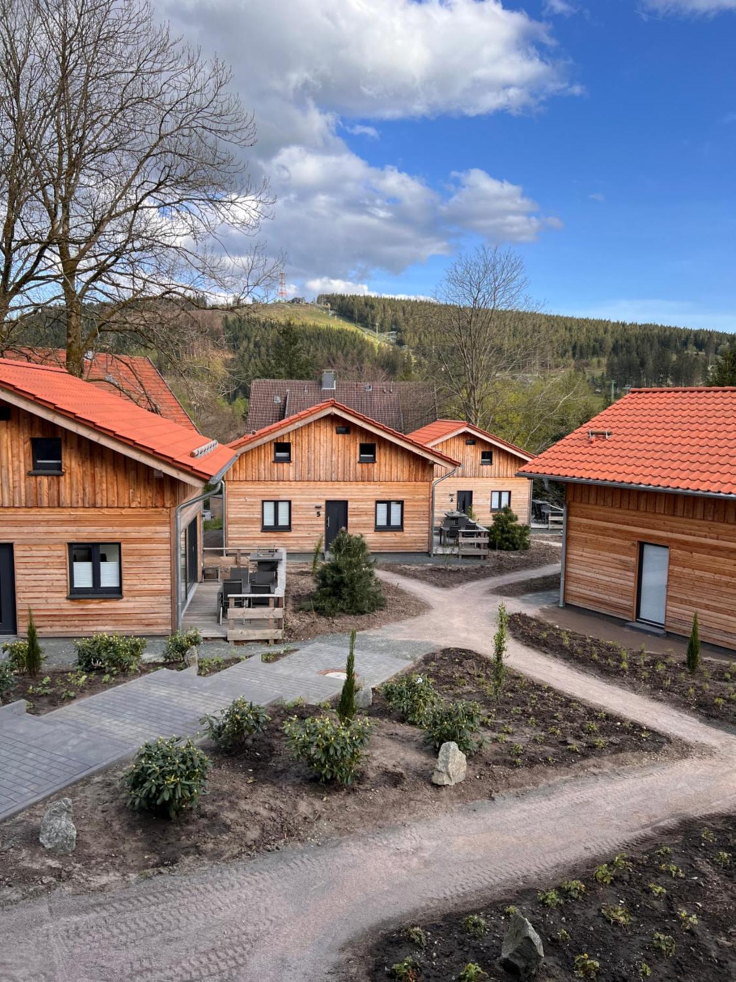 Villa Cecilienpark Oberharz Goslar Exterior foto